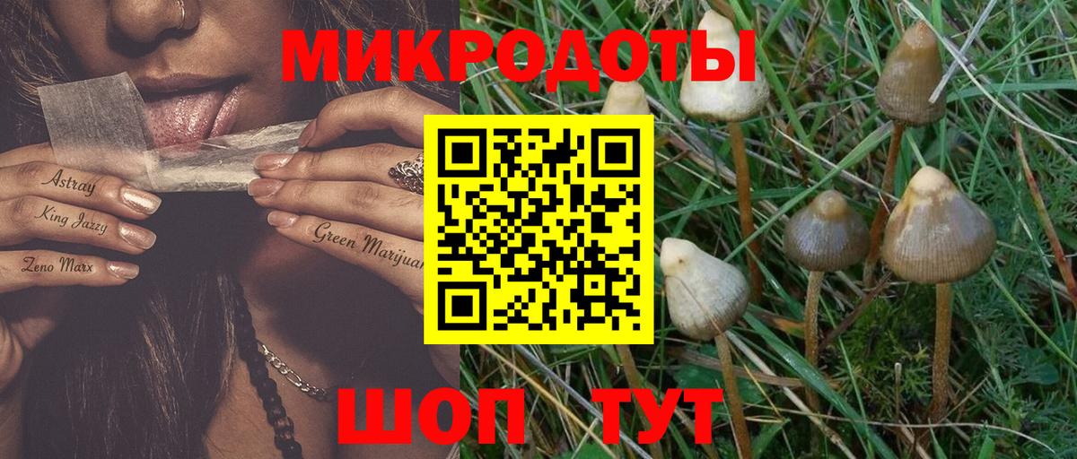 Псилоцибиновые грибы мицелий Нижний Новгород