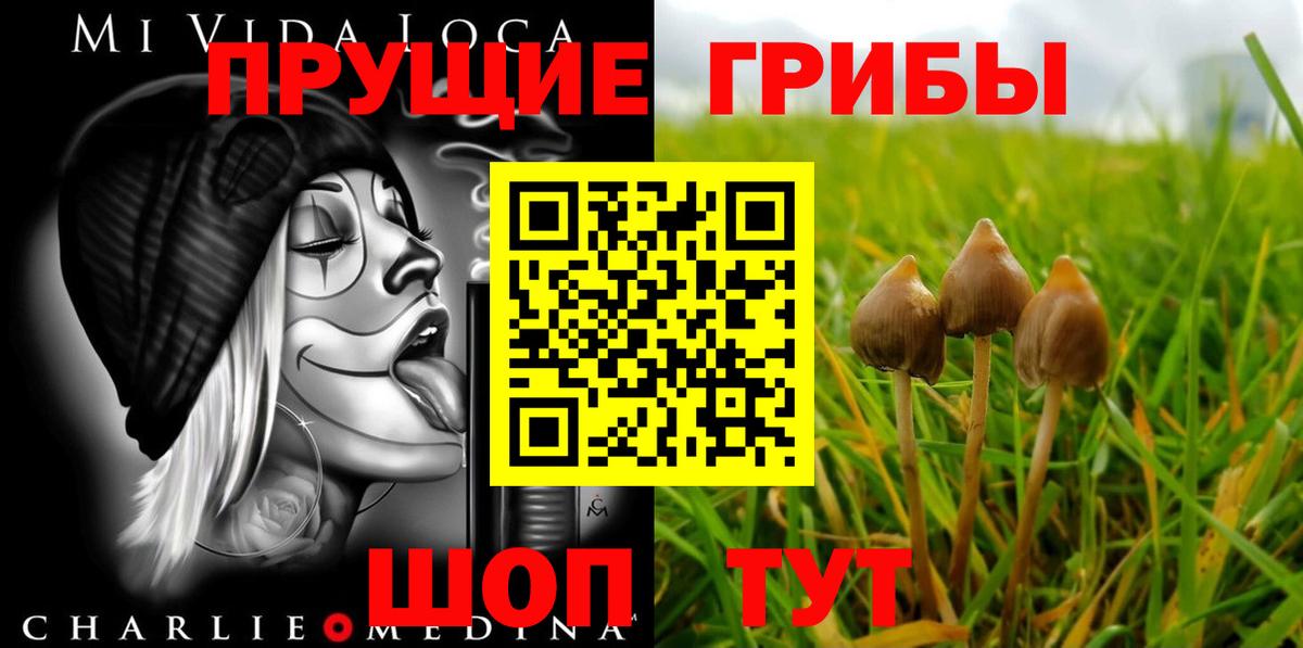Нижний Новгород  Псилоцибиновые грибы прущие грибы  Вход с VPN 